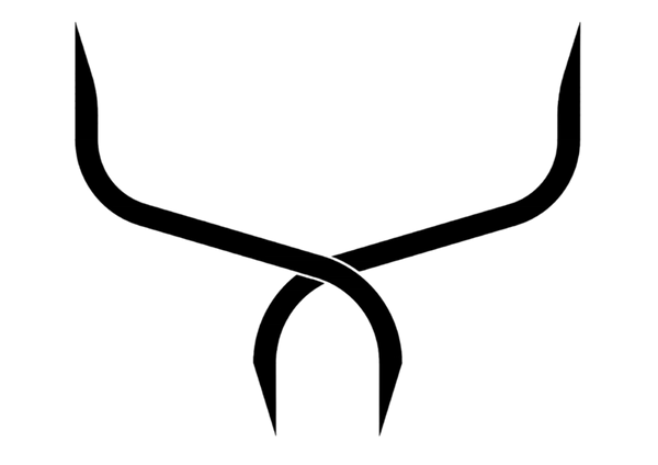 MUSCLEFIBER